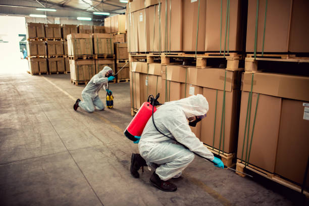Best Pest Inspection Near Me  in Camano, WA