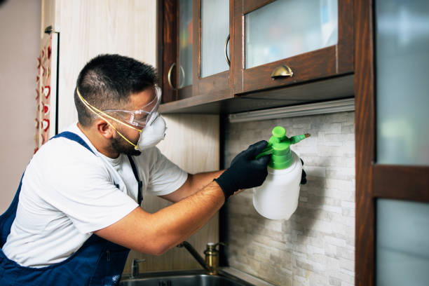 Best Local Pest Control Services  in Camano, WA