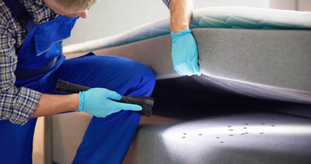 Best Rat Extermination Near Me  in Camano, WA