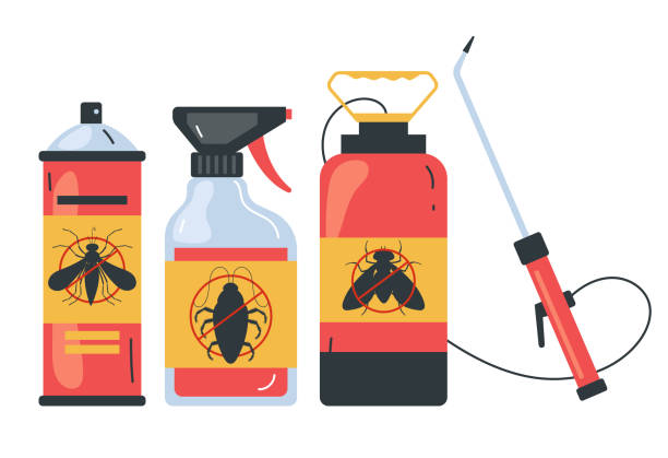 Best Spider Control Near Me  in Camano, WA