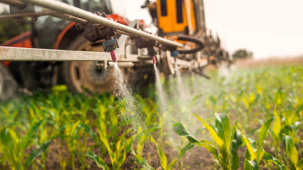 Best Mosquito Control Services  in Camano, WA